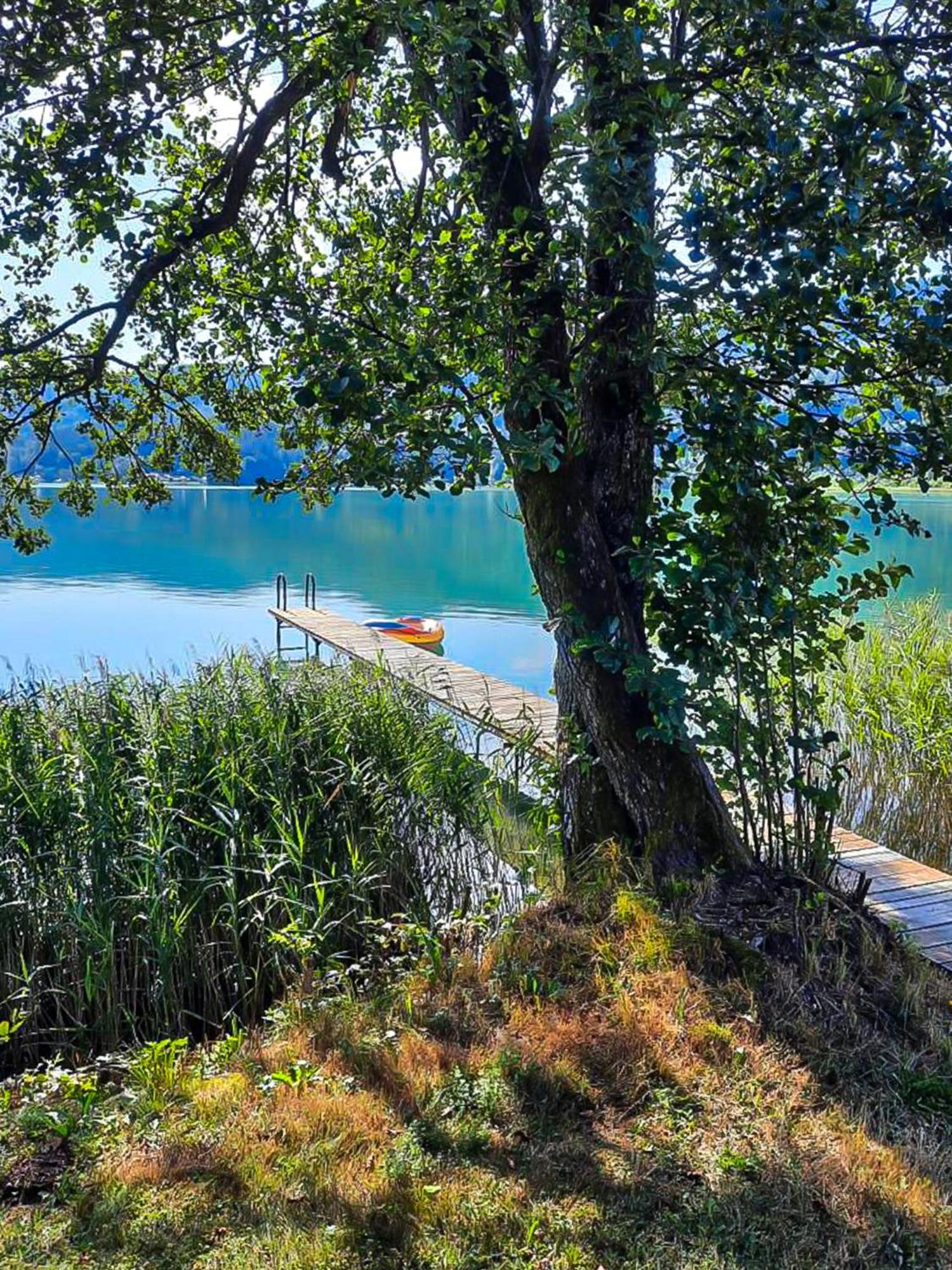 Ferienwohnungen Am See Haus Spitzer Койтшах ам Зее Екстериор снимка